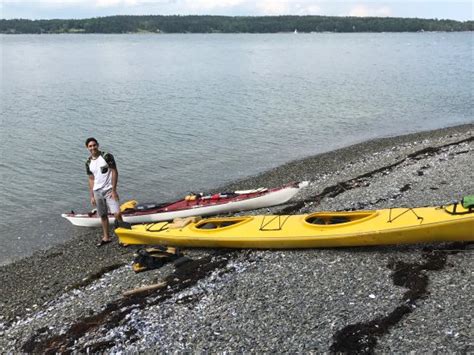 Hancock Point Kayak Tours Atualizado 2022 O Que Saber Antes De Ir Sobre O Que As Pessoas