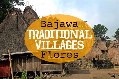 Bajawa Traditional Villages Flores Indonesia