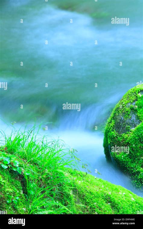 Moss And Water Stream Stock Photo Alamy