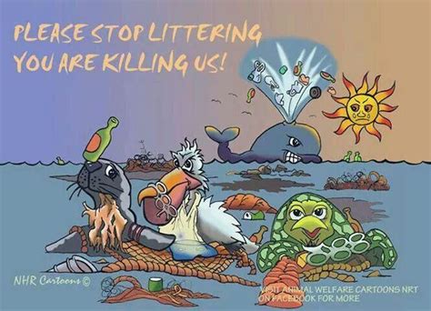Stop Littering Our Oceans Causes I Believe Strongly About Pinterest