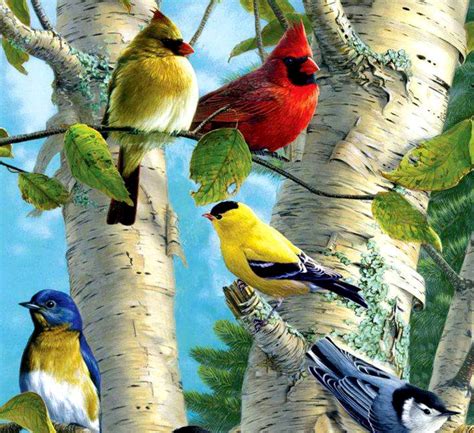 Tropical Birds In Color Help Change The World The