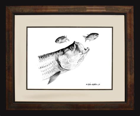 Pencil Art Tarpon Steve Whitlock Game Fish Art Steve Whitlock