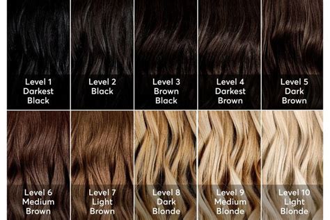 Hair Color Levels Chart Bleach