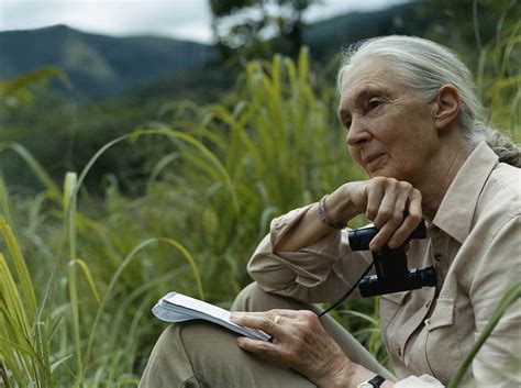 Becky Anderson Cnn In These ‘very Dark Times Jane Goodall Explains