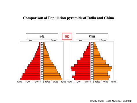 Japan, on the other hand, has a narrow base and wider top, as is typical of an aging population. PPT - Comparison of Population pyramids of India and China ...