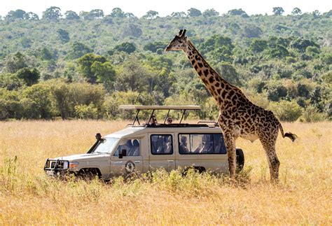 6 Day Luxury Lodging Safari In Tanzania