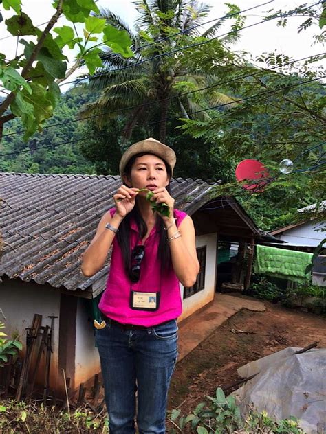 About Private Tour Guide In Chiang Mai Thailand Thai Basic Stay