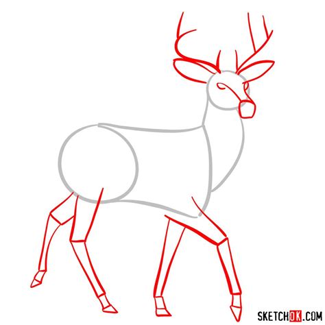 How To Draw A Deer Sketchok Easy Drawing Guides