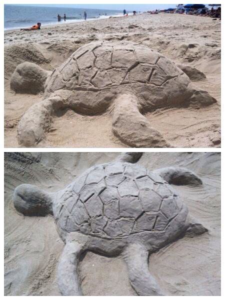 Giant Sea Turtle Sand Sculpture Sand Sculptures Giant Sea Turtle