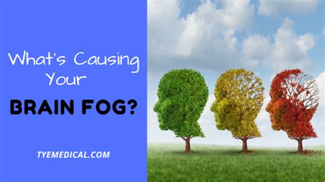 Causes Of Brain Fog 10 Possible Reasons Your Mind Is Sluggish Tye