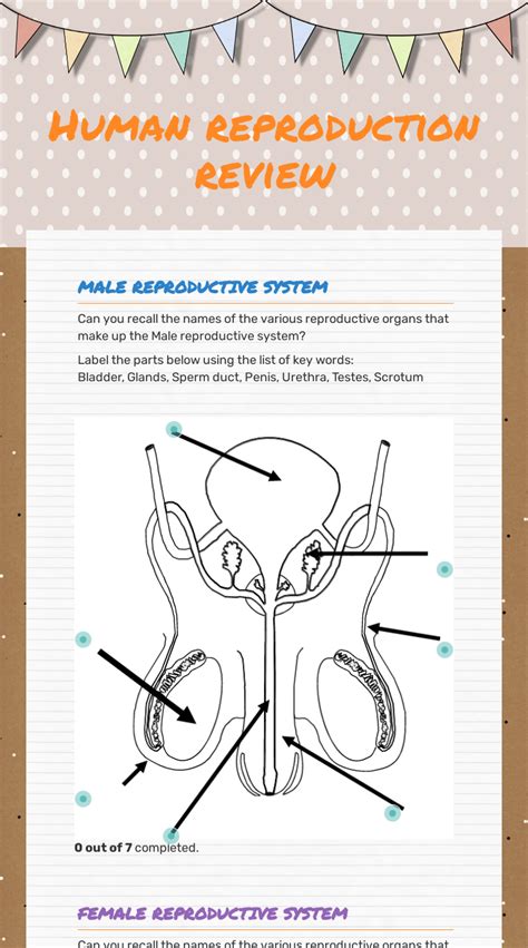 Human Reproduction Review Interactive Worksheet By Ann Daniel Wizerme