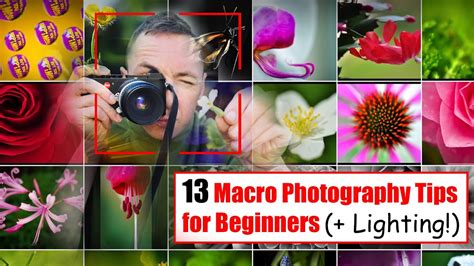 Guide To Macro Photography Tips And Tricks For Beginners Macro