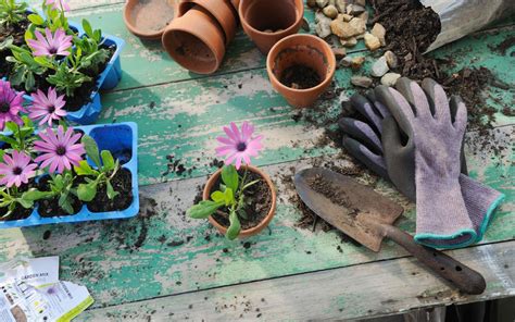 Maybe you would like to learn more about one of these? Getting started as a beginner gardener