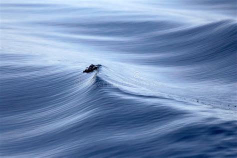 Wave Breaking At Sea Stock Photo Image Of Beachgoers 86839704