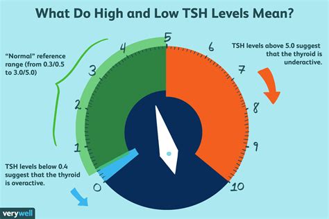 What Do High And Low Tsh Levels Mean In 2020 Thyroid Levels Tsh