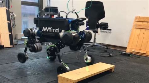 Hybrid Locomotion For Wheeled Legged Robots Anymal Quadrupedal Robot