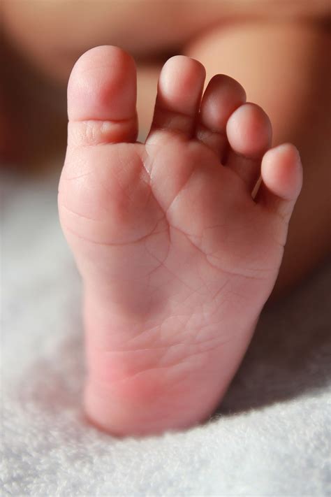 Baby Foot Newborn Infant Free Photo On Pixabay Pixabay