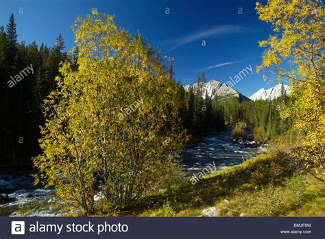 Jasper National Park Scenery Hi Res Stock Photography And Images Alamy