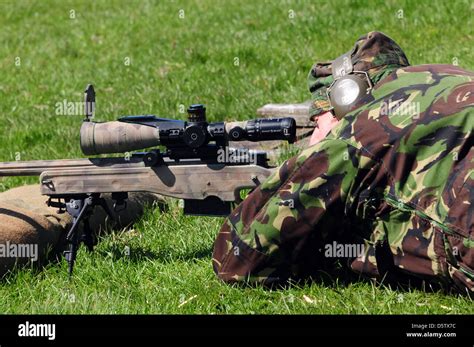 The 115a3 L Is The Standard Sniper Rifle Of The British Army Stock