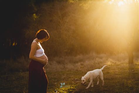 Fotografia De Embarazo Un Embarazo Familiar Mascota Incluída Ana