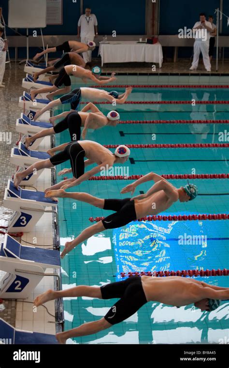 Male Swimmers Starting A Competitive Swimming Race Stock Photo Alamy