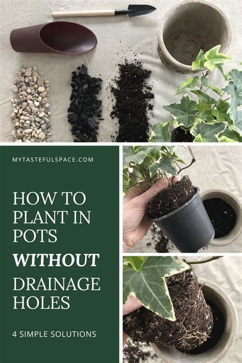 Check spelling or type a new query. How to Plant in Pots Without Drainage Holes - 4 Simple ...