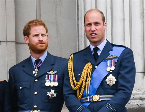 prince william and prince harry likely to reunite next summer for unveiling of princess diana