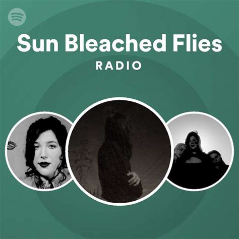 Sun Bleached Flies Radio Spotify Playlist