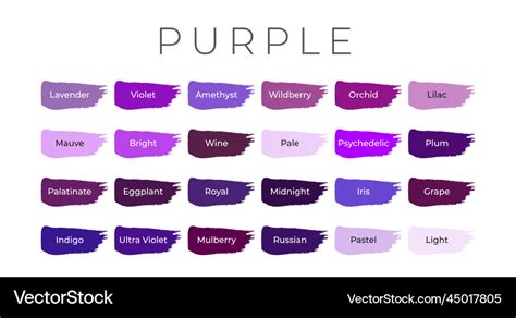 Purple Paint Color Swatches With Shade Names Vector Image