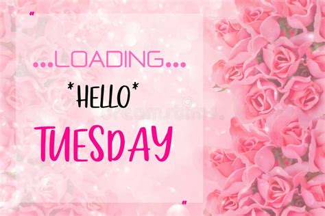 Hello Tuesday Words On Pink Roses Background Stock Image Image Of