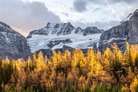 Ultimate Guide To Enjoying Banff In The Fall And The Best Things To Do