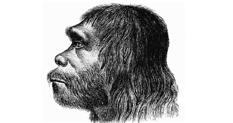 Sex With Neanderthals Still Benefiting Humans New Historian