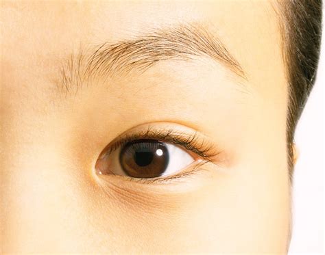 Scientists In China Regenerate Lens In Human Eye