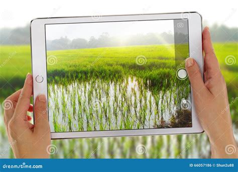 Taking Photo Using Ipad Tablet Stock Photo Image Of Landscape