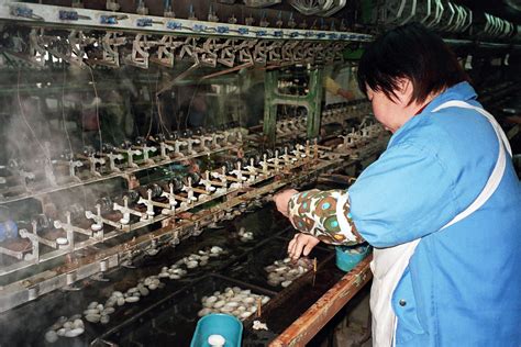 Silk Factory Worker China A Photo Journey Into My World Marilu
