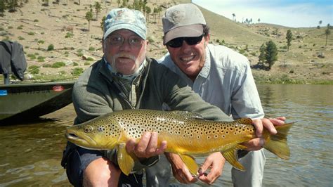 Upper Missouri River Brown Trout Headhunters Fly Shop