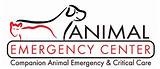Photos of Aec Animal Emergency Clinic