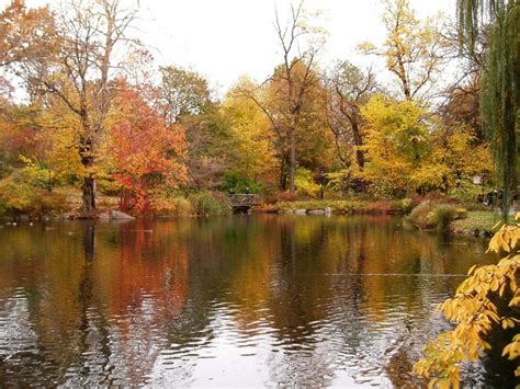 Best fall activities for kids in ny. Top 7 Picnic Spots in Central Park