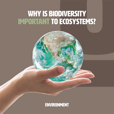 Why Is Biodiversity Important To Ecosystems Environment Co