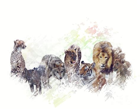 Wild Animals Watercolor Digital Art by Svetlana Foote | Fine Art America