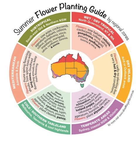 Flowers in season in april australia. Summer flower planting guide by regional zones Australia ...