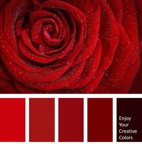 Color Palette 0069 Red Color Schemes Color Palette Red Colour Palette