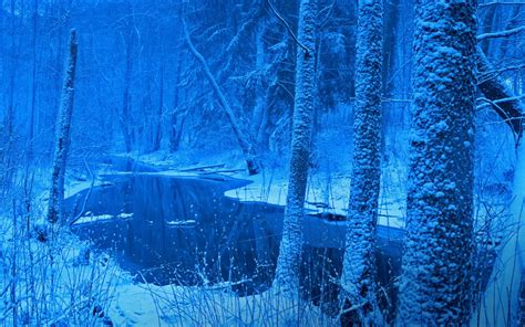 배경 화면 햇빛 나무 경치 숲 반사 눈 겨울 분기 푸른 얼음 감기 서리 강 폴란드 고드름 동결