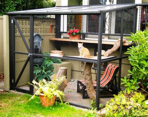 5 Awesome Ideas For Screened Cat Porches Outdoor Cat Enclosure Cat