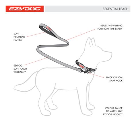 Webbing Dog Leash Essential Dog Lead