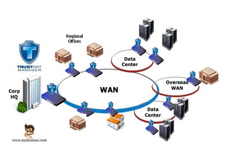 Mengenal Fungsi Wide Area Network Wan Dan Contohnya
