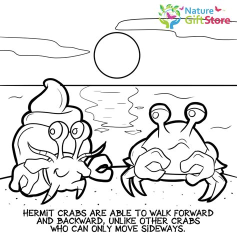 Free printable hermit crab coloring pages. Printable Coloring Pages - Nature Gift Store