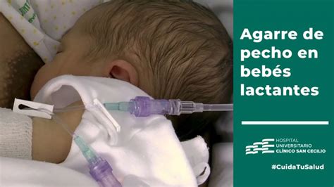 Cuida Tu Salud Consejos Para El Agarre De Pecho En Bebés Lactantes
