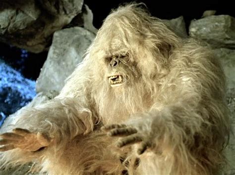 Yeti Mystery Solved Himalayan Yeti May Be A Sub Species Of Brown Bear