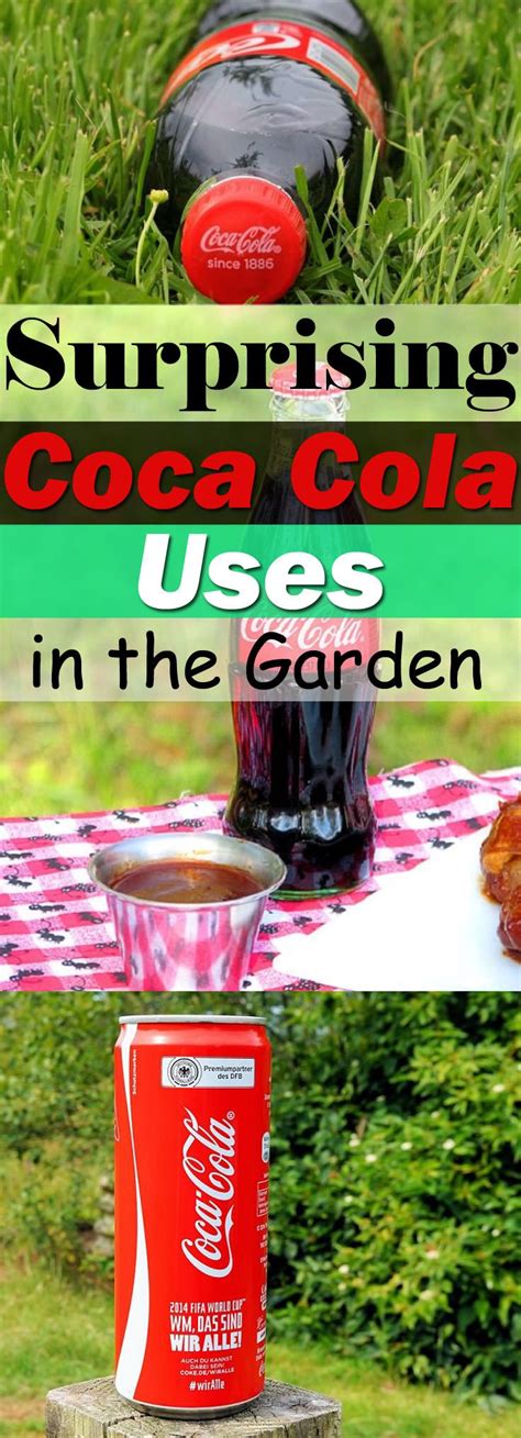 surprising coca cola uses in the garden best of home and garden vegetable garden tips